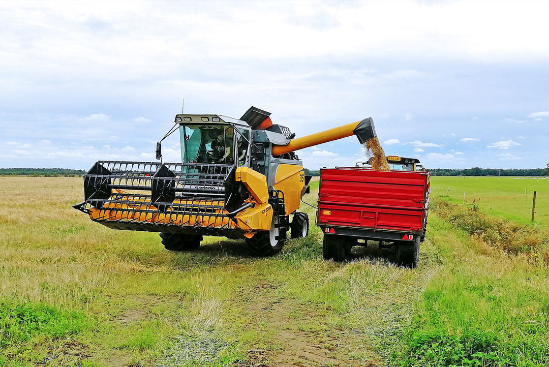 Project DataSato Aims to Create Ecosystems for Data Warehouses in Farms