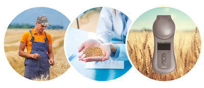 GrainSense in Spain: Smart solutions for cooperatives and research institutions