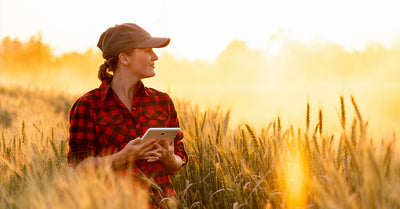 The GrainSense Cloud Service – Your go-to App for Mastering data-driven Agriculture