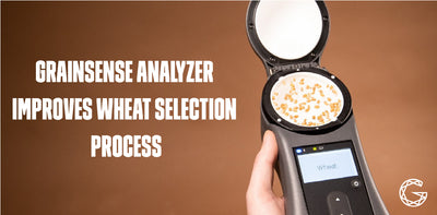 GrainSense Analyzer Improves Wheat Selection Process in a Research Institute
