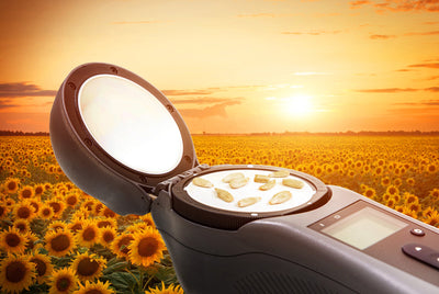 New Breakthrough in Analyzing Content of Sunflower Seeds