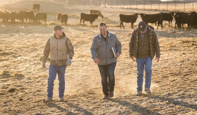 GrainSense at Sunrise Agribusiness Solutions