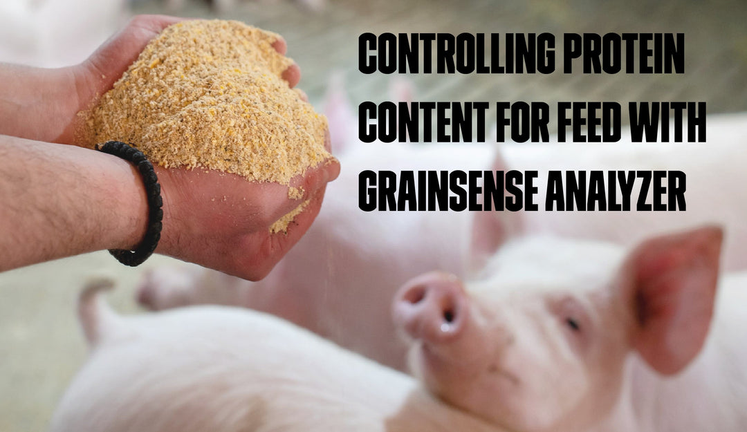 3 Tons of Grain Daily Leaves No Room for Mistakes – Case from Piglet Oy